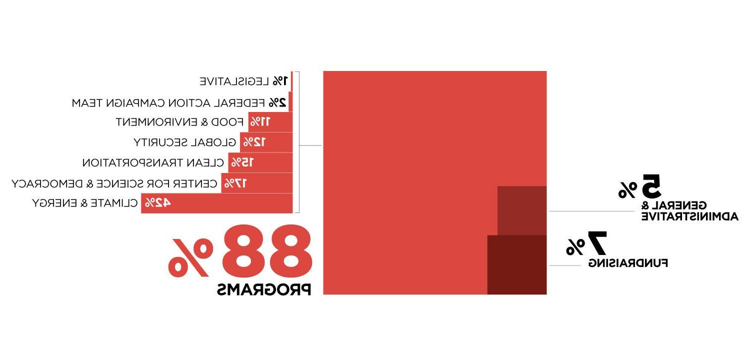 An area chart showing 2020 expenses